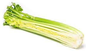 JLK Celery half bunch