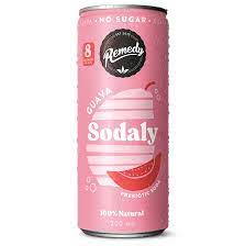 Remedy Sodaly Guava Can 250ml