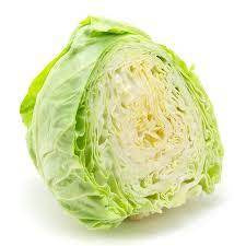 JLK Cabbage Green half