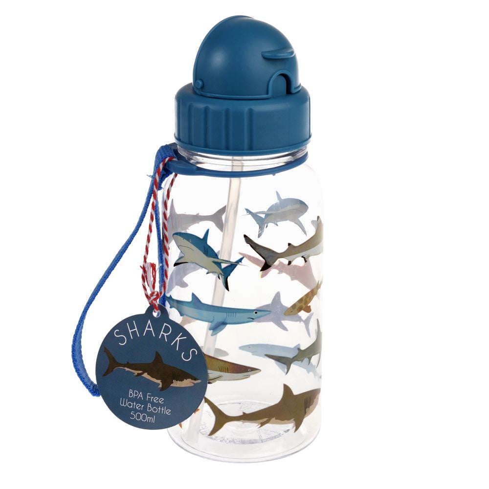 Child Water Bottle Sharks