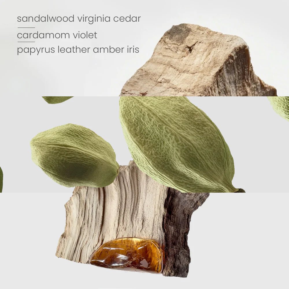 Scent Australia Santal Woods Reed Diffuser 200ml