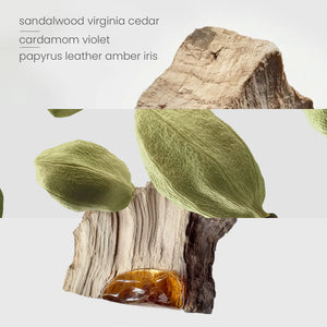 Scent Australia Santal Woods Reed Diffuser 200ml
