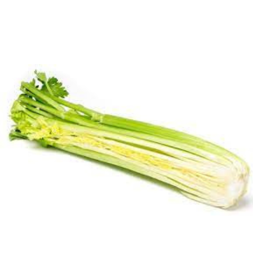 JLK Celery half bunch