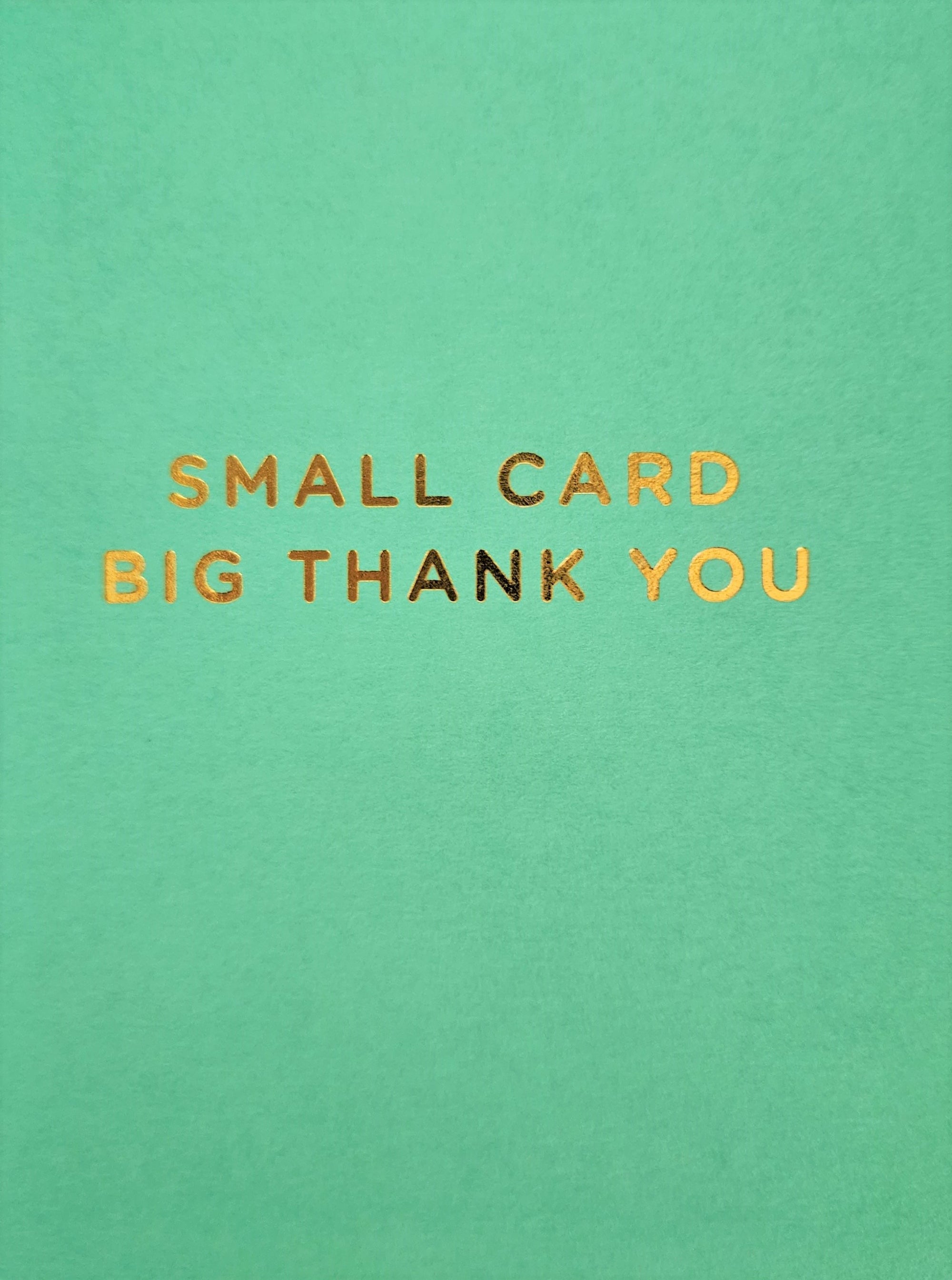 Small Card Big Thank you/ Green