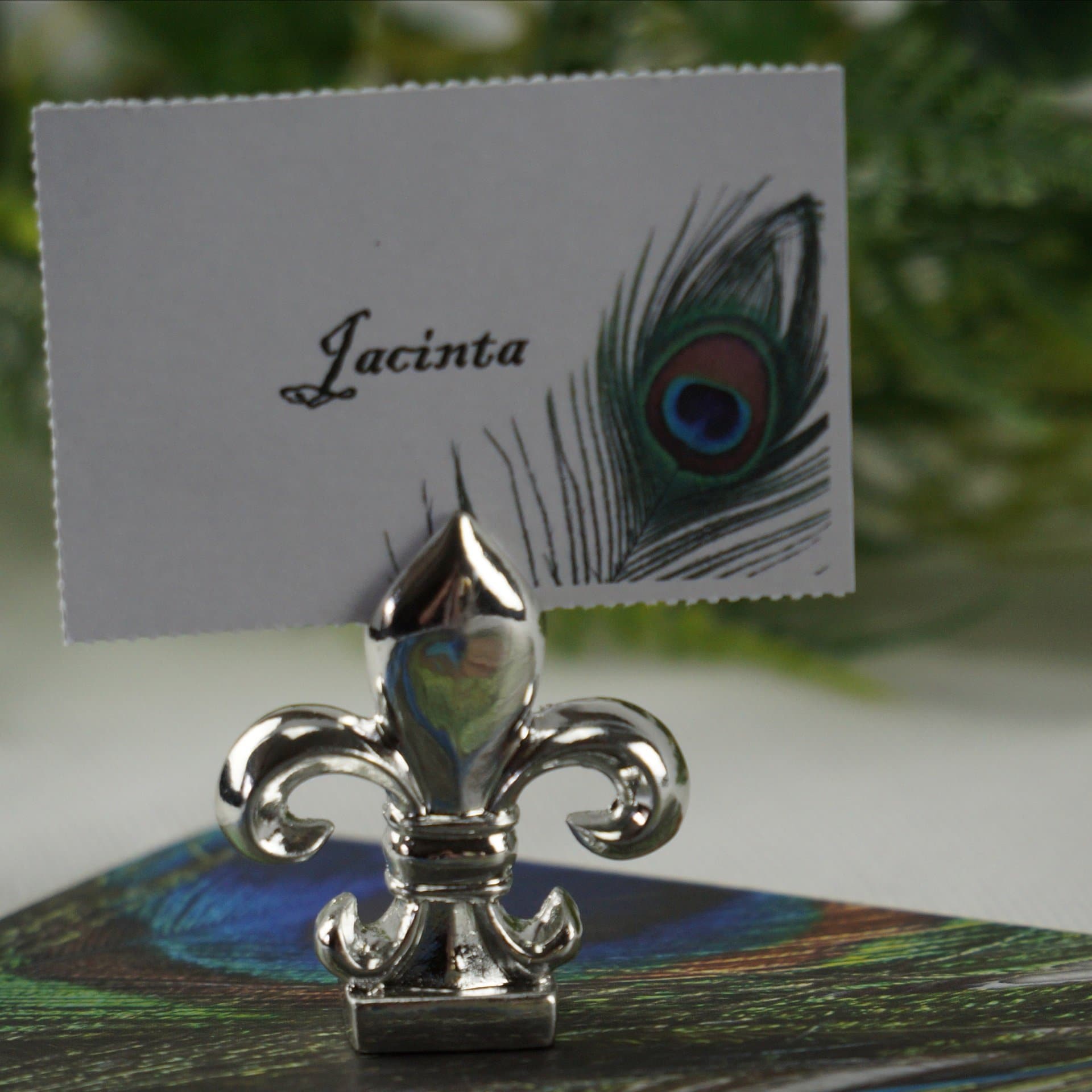 Paper Placecards - Peacock Feather