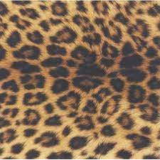 Manor Road The Leopard Napkins - Dinner