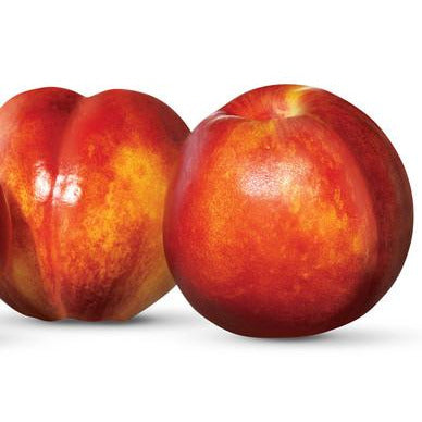 JLK Nectarines Yellow - approx. 1kg